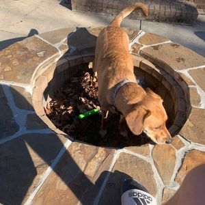 Meet your Posher, Braden